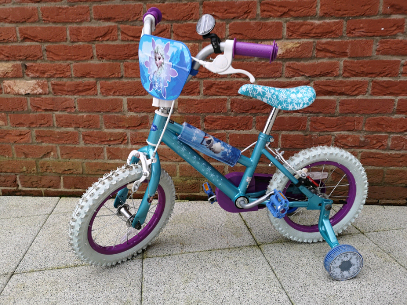 14 frozen bike